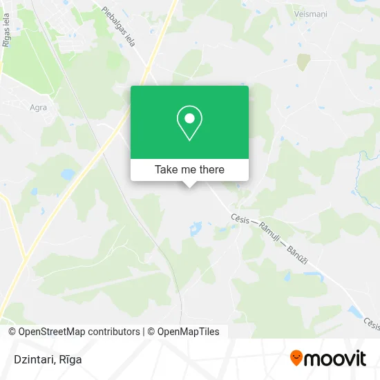 Dzintari map