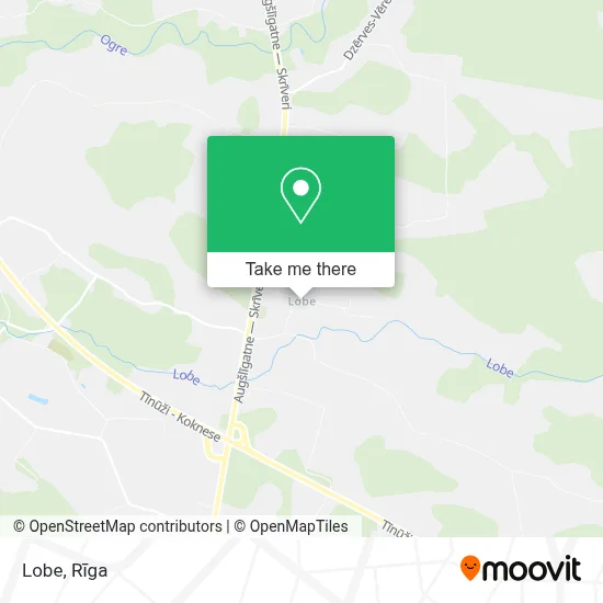 Lobe map
