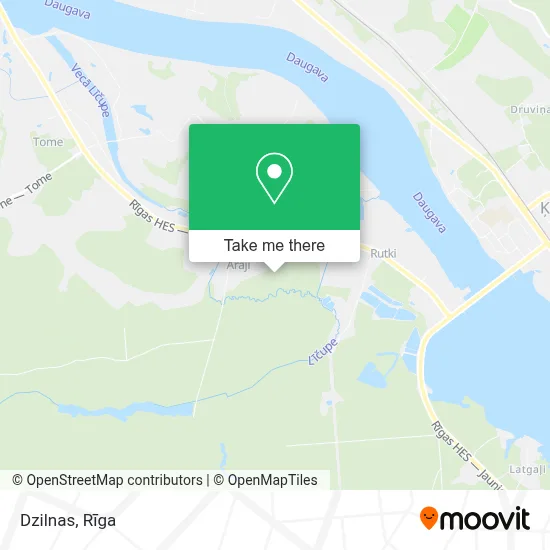 Dzilnas map