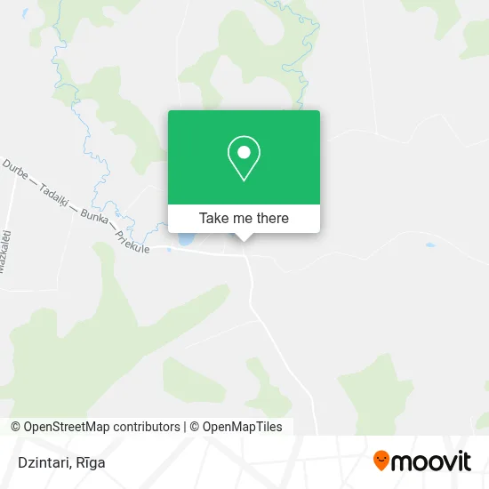 Dzintari map