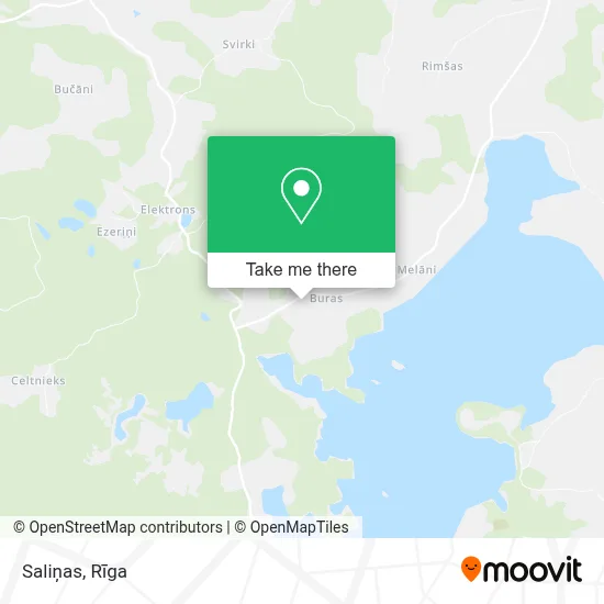 Saliņas map