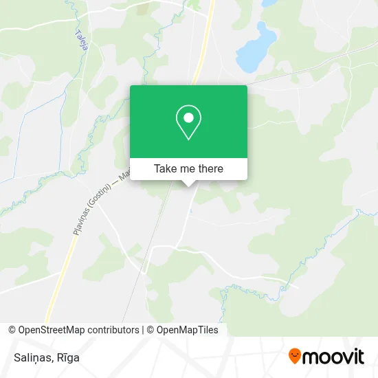 Saliņas map
