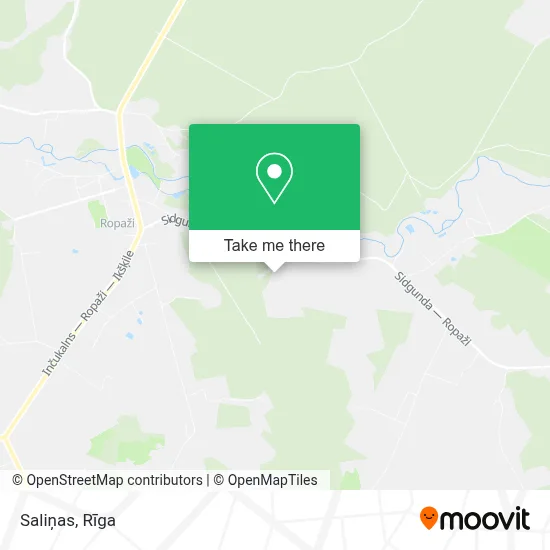 Saliņas map