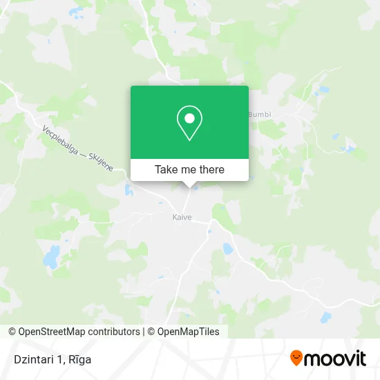Dzintari 1 map