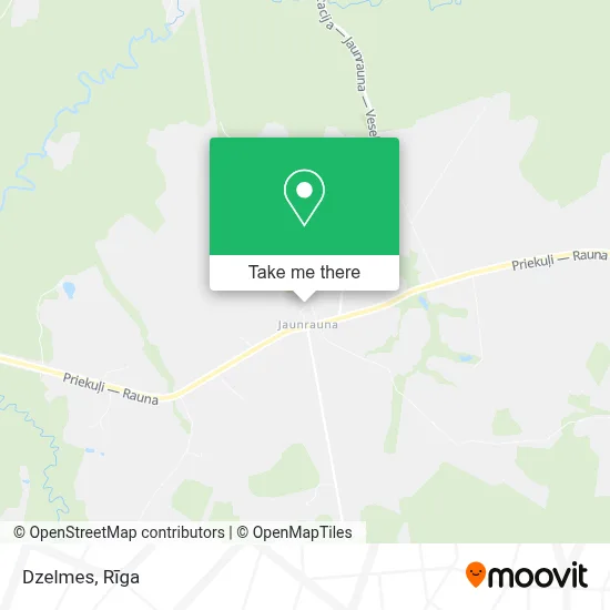 Dzelmes map
