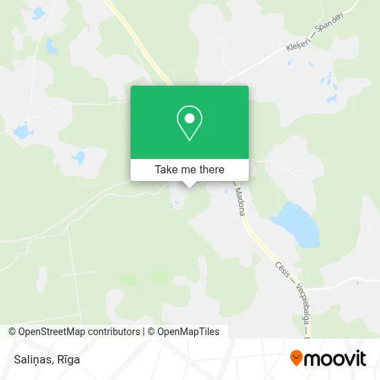 Saliņas map