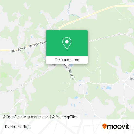Dzelmes map
