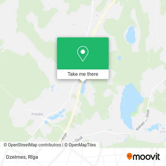 Dzelmes map