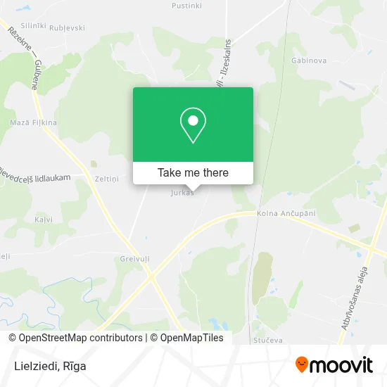 Lielziedi map
