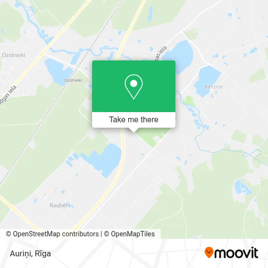 Auriņi map