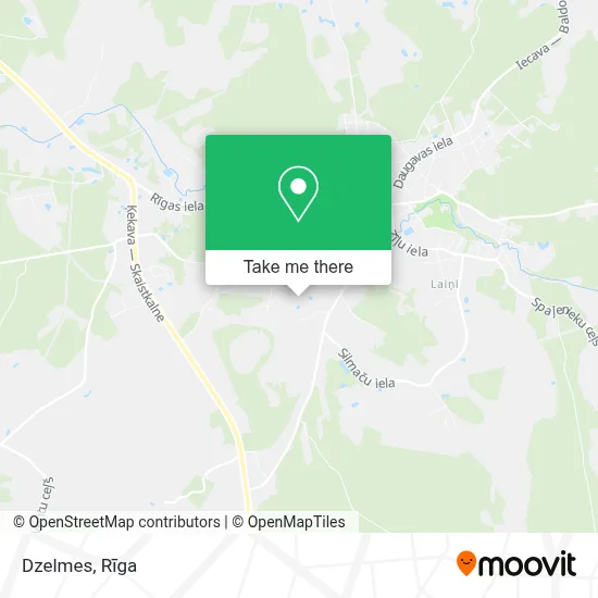 Dzelmes map