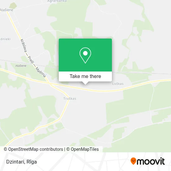 Dzintari map