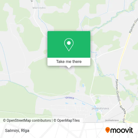 Salmiņi map