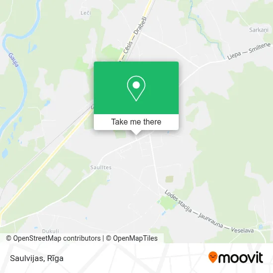 Saulvijas map