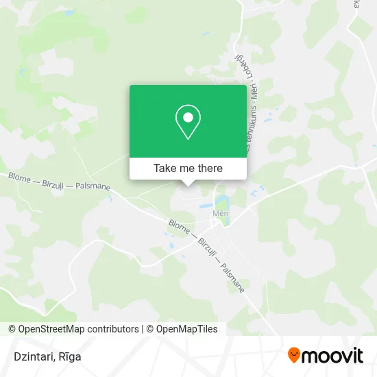 Dzintari map