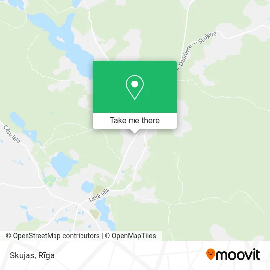 Skujas map