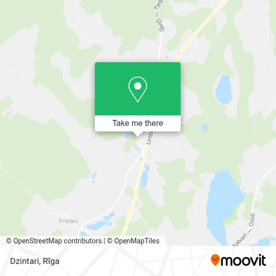 Dzintari map