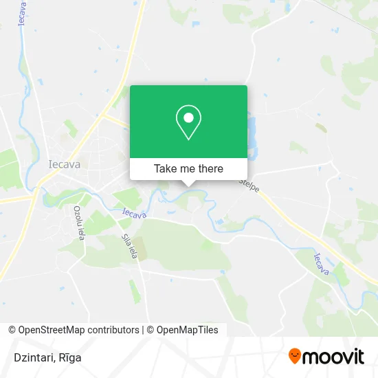 Dzintari map