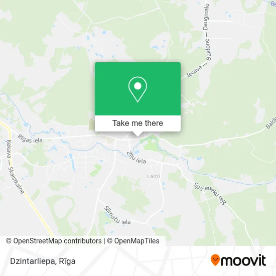 Dzintarliepa map