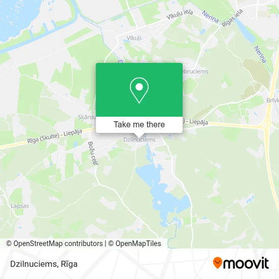Dzilnuciems map