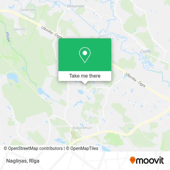Nagliņas map