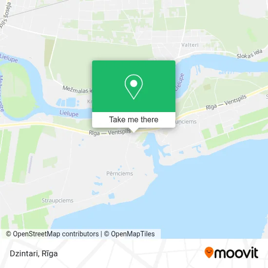 Dzintari map