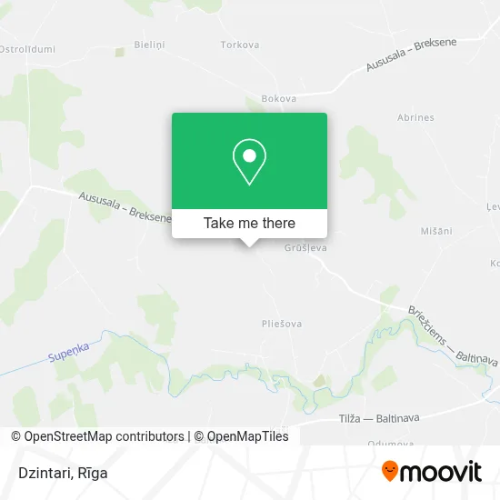 Dzintari map