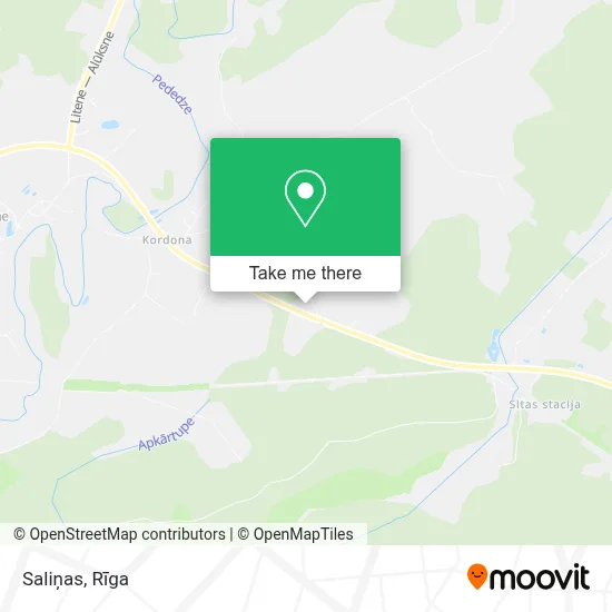 Saliņas map