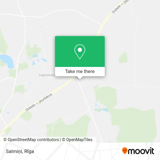 Salmiņi map
