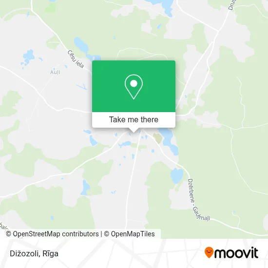 Dižozoli map