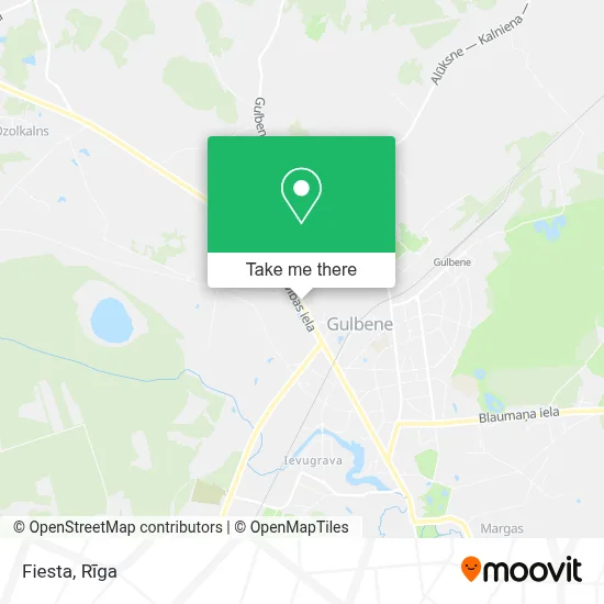 Fiesta map