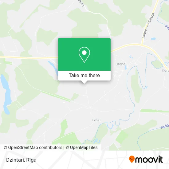 Dzintari map