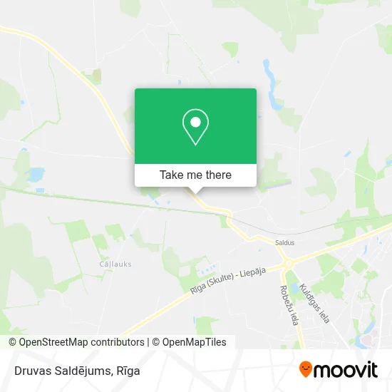 Druvas Saldējums map