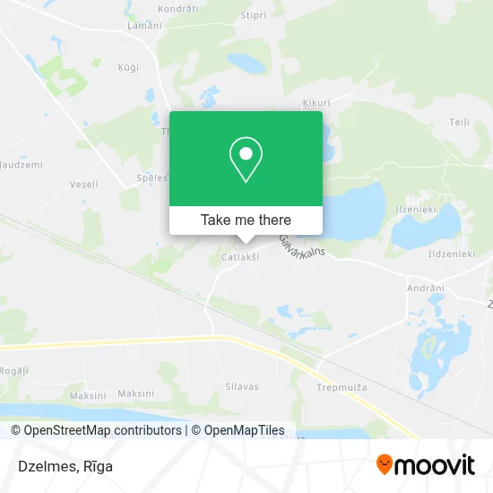 Dzelmes map