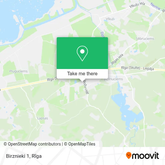 Birznieki 1 map