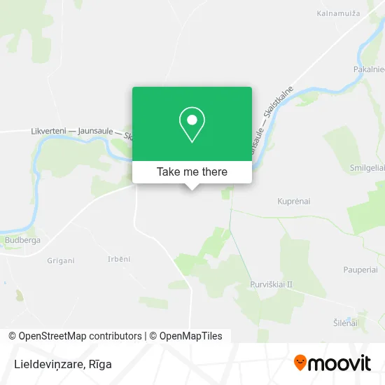 Lieldeviņzare map