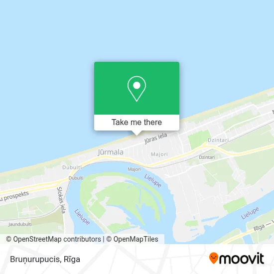 Bruņurupucis map