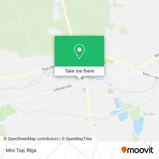 Mini Top map