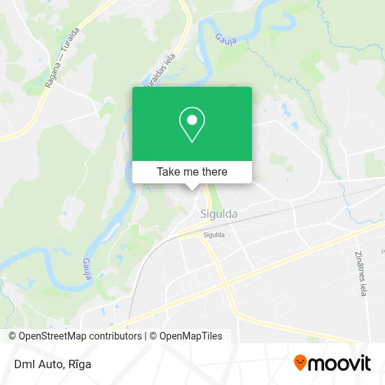 Dml Auto map