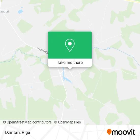 Dzintari map