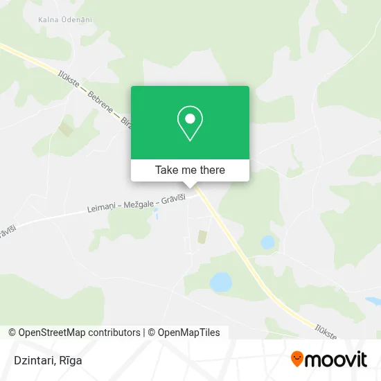 Dzintari map