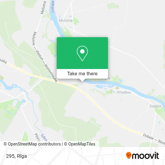 295 map