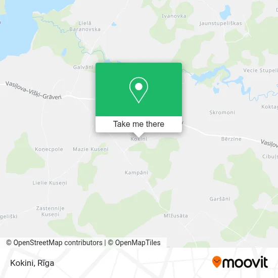 Kokini map