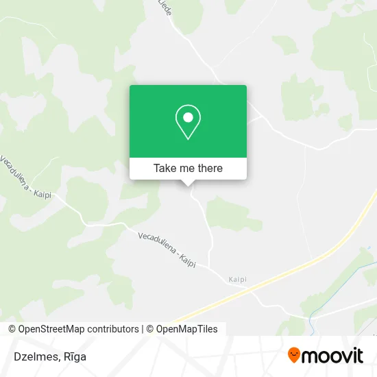 Dzelmes map