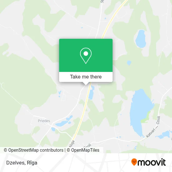 Dzelves map