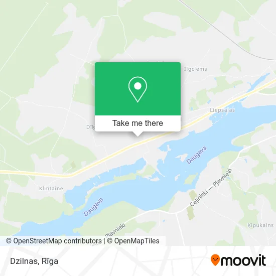 Dzilnas map