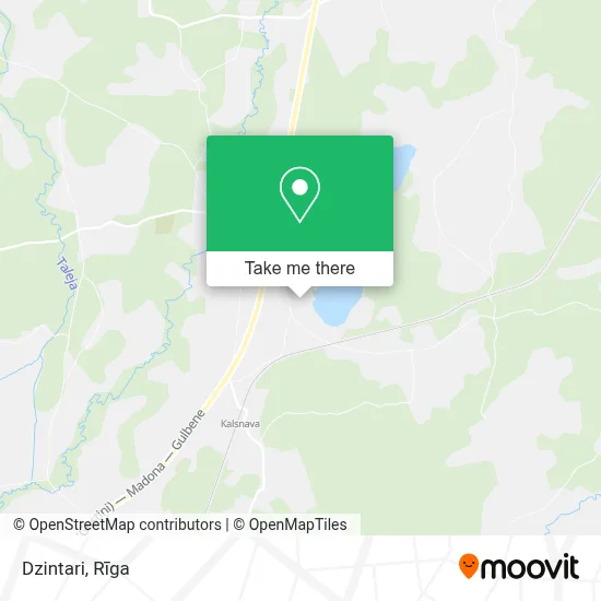 Dzintari map