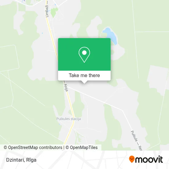 Dzintari map