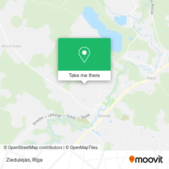 Ziedulejas map