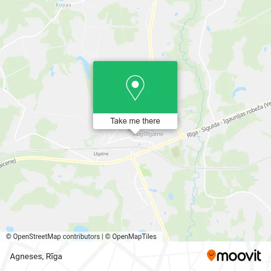 Agneses map